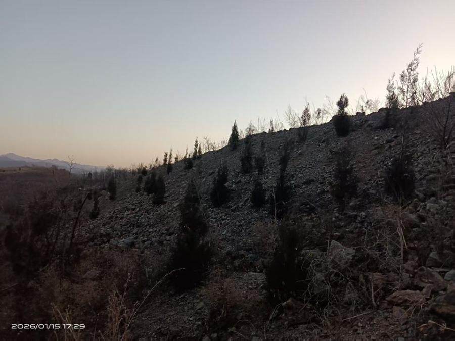 1月27日洛阳德亭镇后岭废石网络拍卖公告