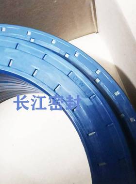 REDKOMBI80-125-10/19MSSLR85-80-113-19德国CFW组合油封