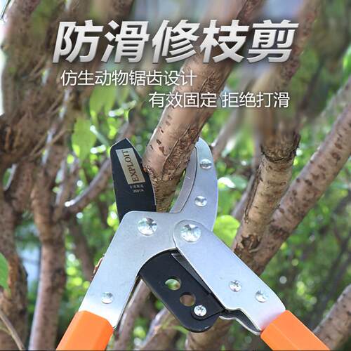 开拓高枝园林果树修枝剪加长防滑带齿不易生锈省力便携树枝钳