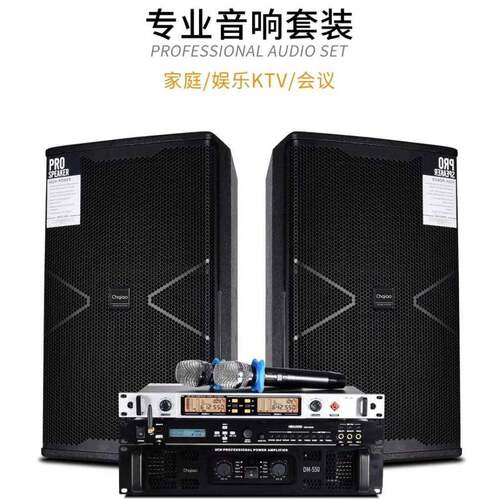 ChqiaoCH-612T大功率KTV专业舞台音响会议卡拉OK包房家用音箱