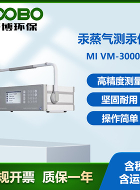 德国METREL美翠MI VM-3000汞蒸气测汞仪智能大气环境汞浓度监测仪