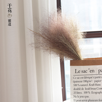 天然粉黛乱子草干花 网红梦幻草抖音花束婚庆花客厅装饰花网红草