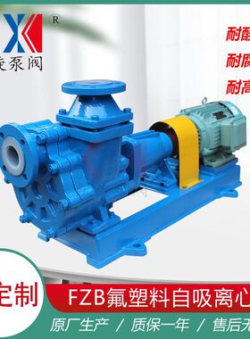 40FZB-30L盐酸专用氟塑料自吸泵 化工自吸式耐酸碱泵 凯旋泵阀