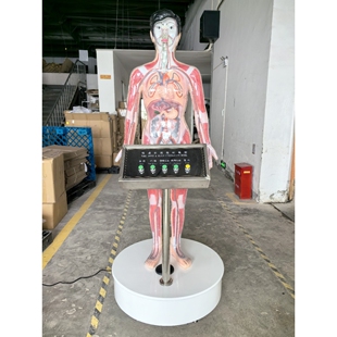 教学模型禁毒模型吸毒模型