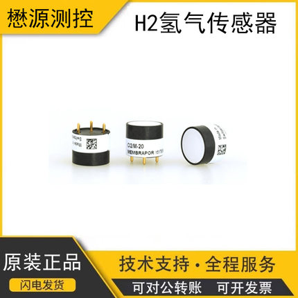 瑞士Membrapor盟巴玻电化学氢气气体浓度传感器H2/M-40000