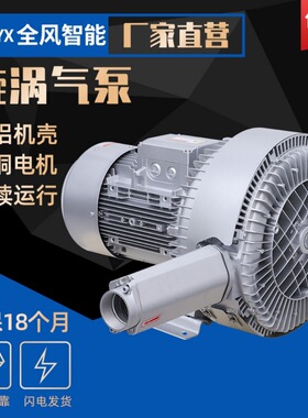 RB-92S双叶轮高压真空泵LRB-94S-3双进双出高压气泵RB-63D-3风机