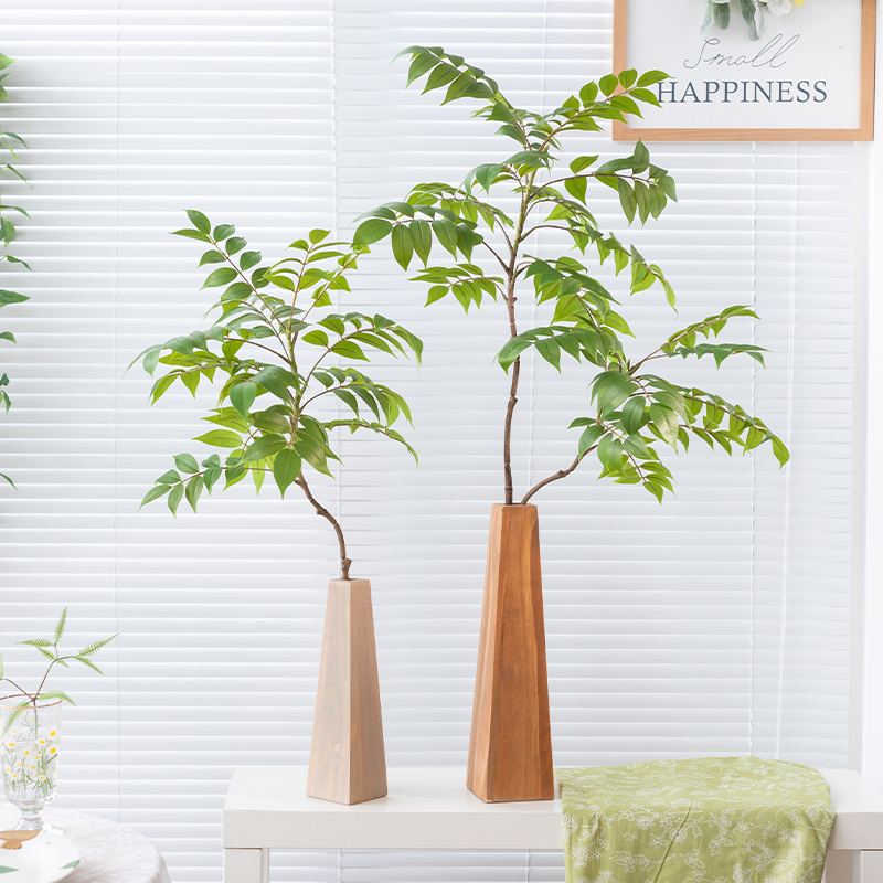 阿楹 网红热带植物造景盆栽室内树橱窗玄关微景观绿植诧寂风装饰