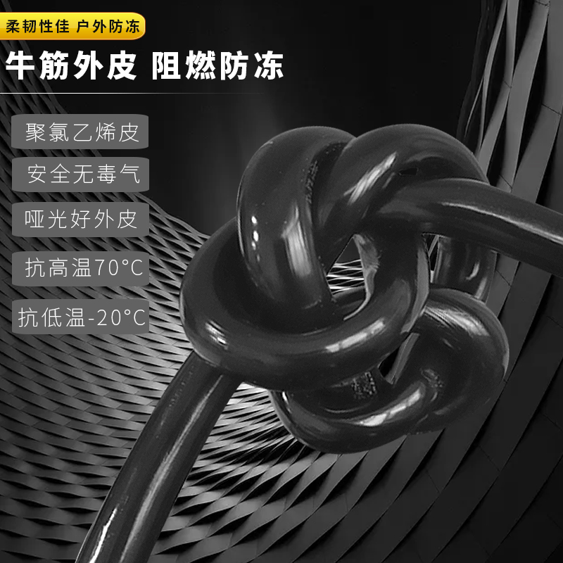 户外防冻电源线护套线牛筋r线电线国标二芯2.5 4 6平方电缆线软线