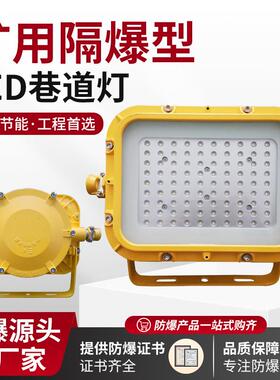 100W大功率矿用LED巷道灯36V工程隧道用防爆照明灯DGS100/127L(A)
