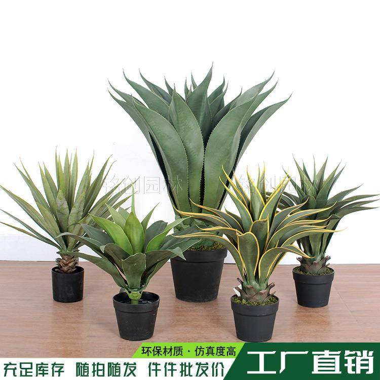 仿真龙舌兰剑兰盆栽欧式家居盆景客厅装饰摆件绿植仿真盆栽,自行车/骑行装备/零配件,更多零件/配件,淘宝优惠券,粉丝福利购,淘宝优惠卷