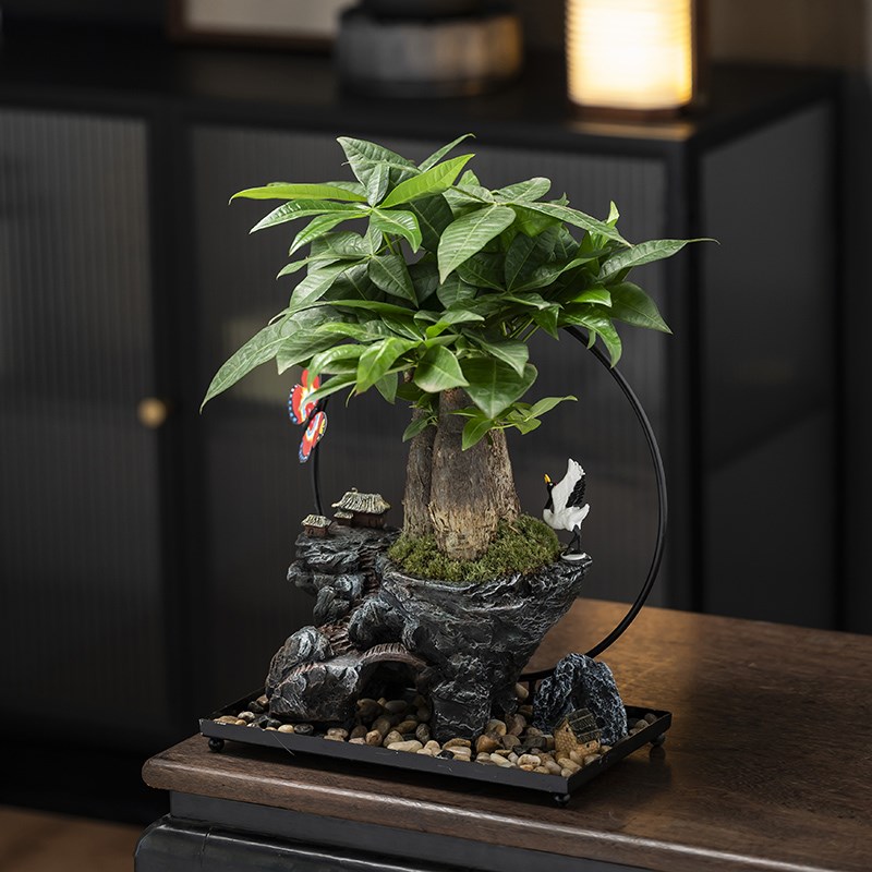 发财树盆栽小叶紫檀绿植室t内办公桌面茶室艺术盆景观赏摆件送礼