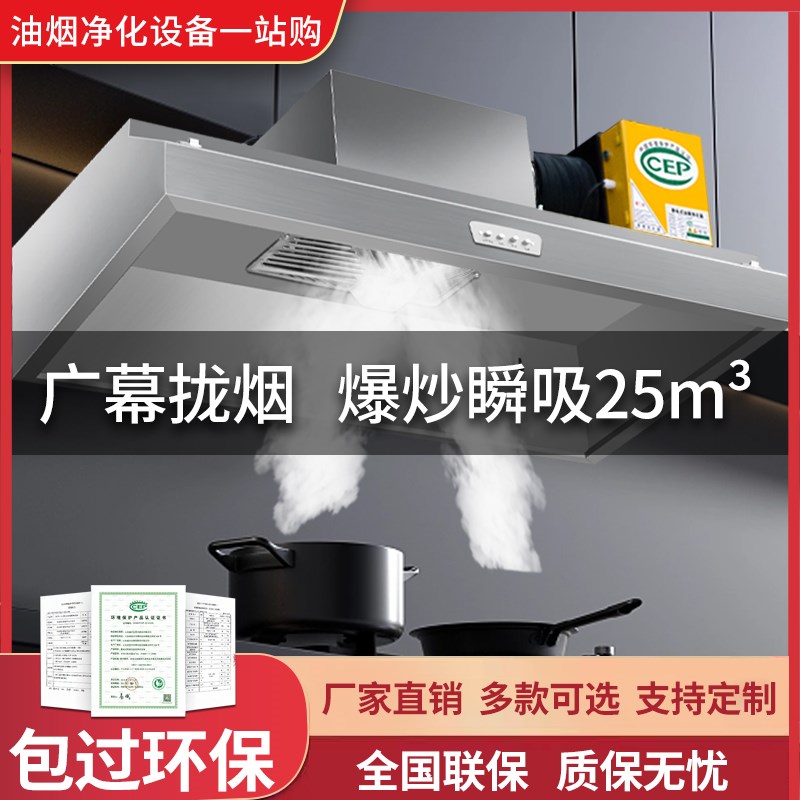 商用油烟机净化器一体小型饭店厨房餐饮烧烤小吃店环保抽低空排放