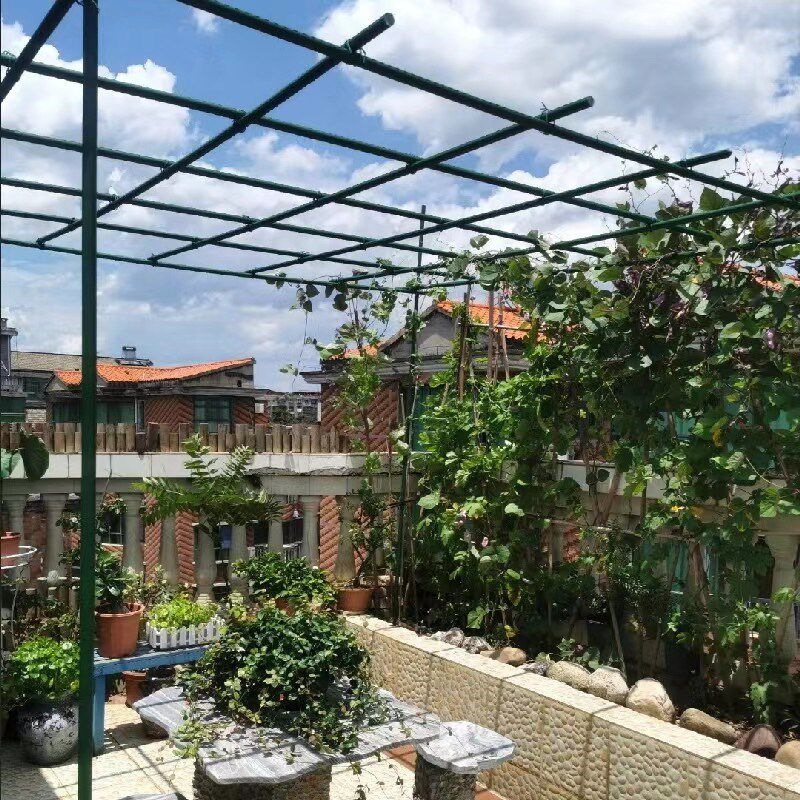 户外庭院葡萄架组装支架百香果苦瓜攀爬架铁艺棚架阳台植物爬藤架