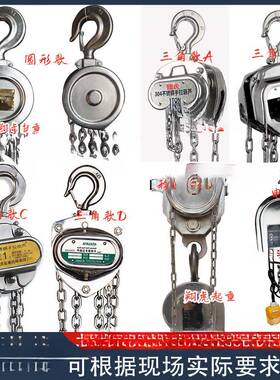 不锈钢起重葫芦紧线器拉紧器手动牵引手板葫芦2F12F1.X20