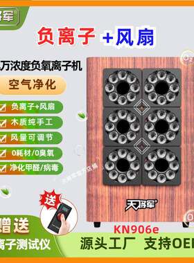 天将军带风扇负离子空气净化杀菌消毒小粒径除醛除味除菌睡眠助手