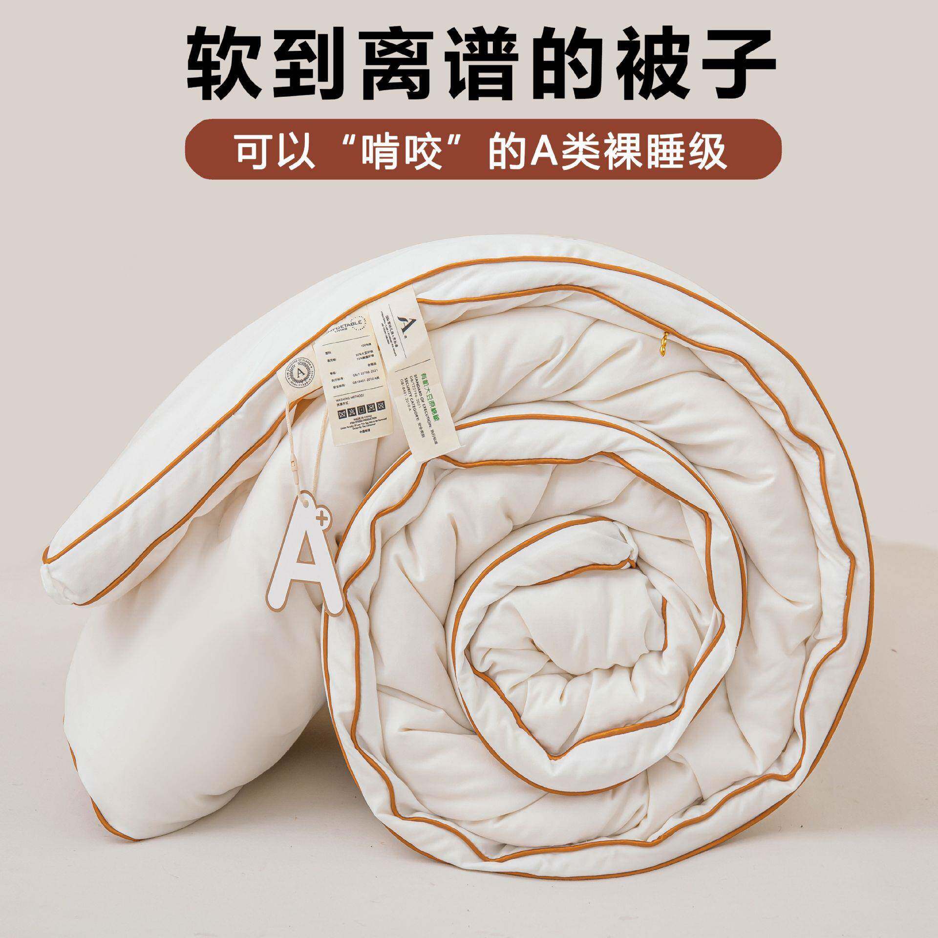 A类母婴级大豆纤维冬被加厚保暖春秋薄被子母二合一双人四季被芯
