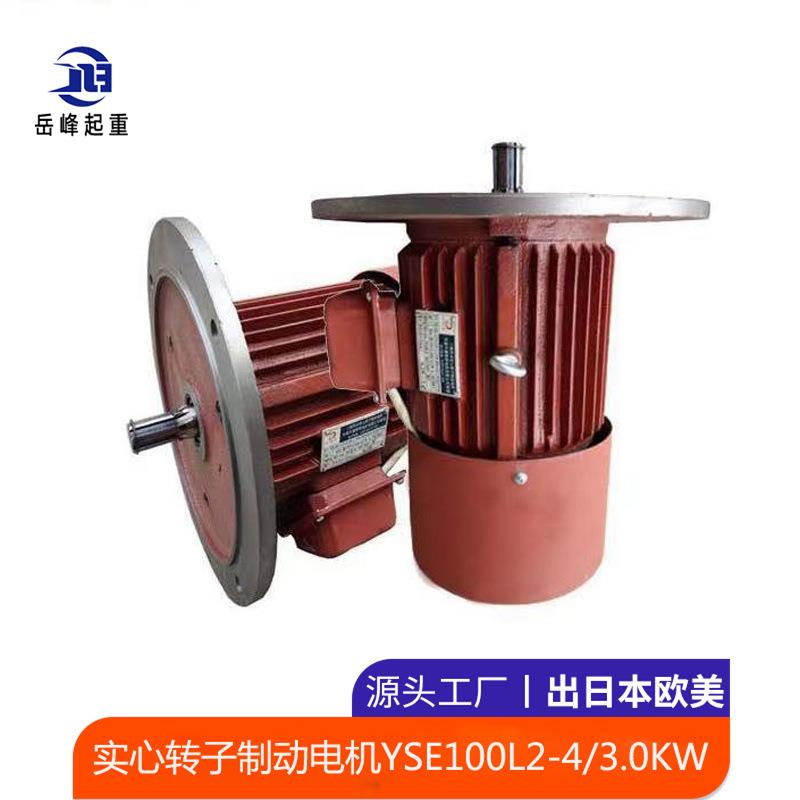 实心转子制动电机YSE100L2-4/3.0KW电机厂起重机配件软启动电机
