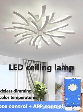 客厅灯2025新款创意吸顶灯大厅灯简约现代灯具大气客厅主灯