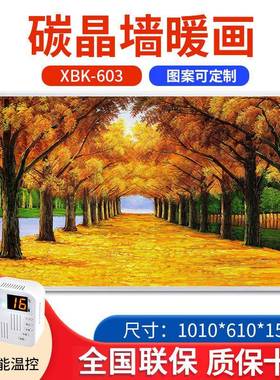 碳晶石取暖器电暖气片碳晶发热板远红外发热板挂壁墙暖石墨烯墙暖