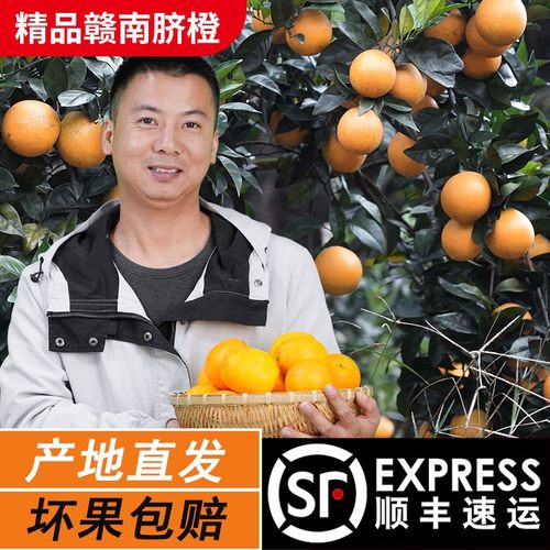 顺丰发货正宗赣南脐橙华农兄弟水果整箱应季水果江西赣南手剥橙