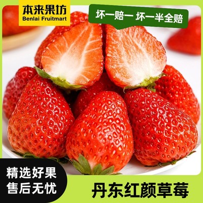 本来果坊辽宁丹东红颜草莓 正宗草莓 果肉紧实 香气饱满