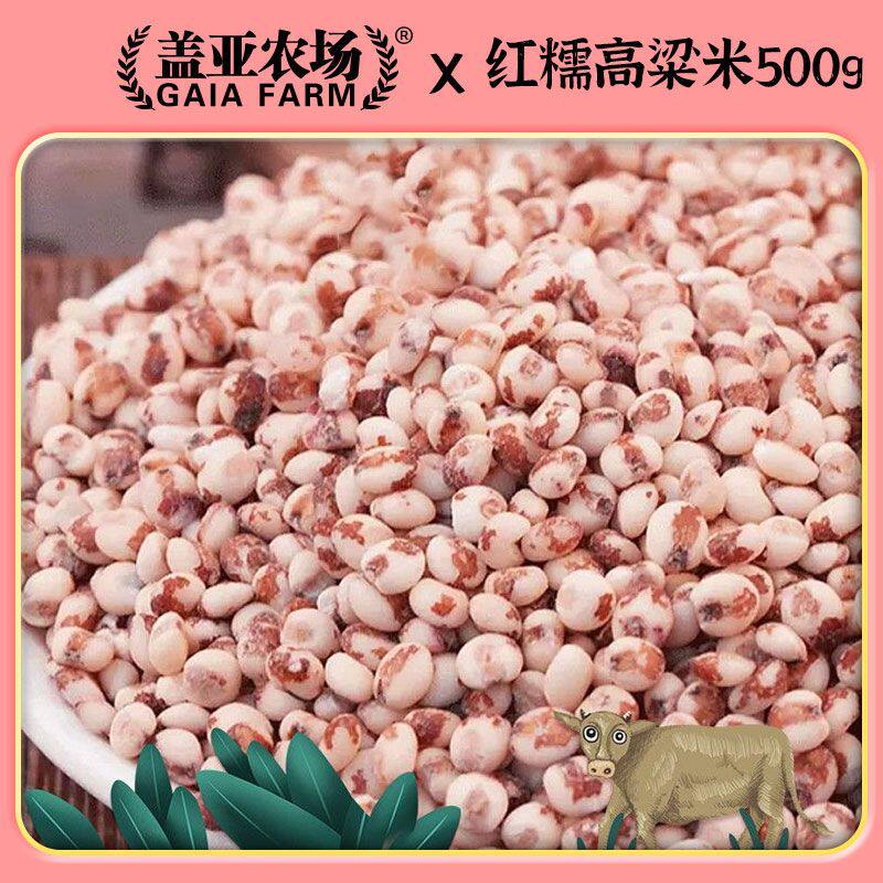 盖亚农场红糯高粱米500g袋装好煮易烂口感软糯煮粥包粽子年糕新米