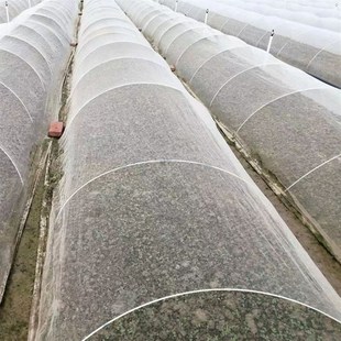 大棚骨架内棚温室塑料棚支架小拱棚拱杆蔬菜农业小工棚弹力棒玻纤