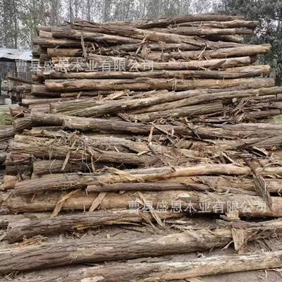 刺槐木原木去皮户外游乐原木木桩槐木打磨洋槐刺槐原木户外原材