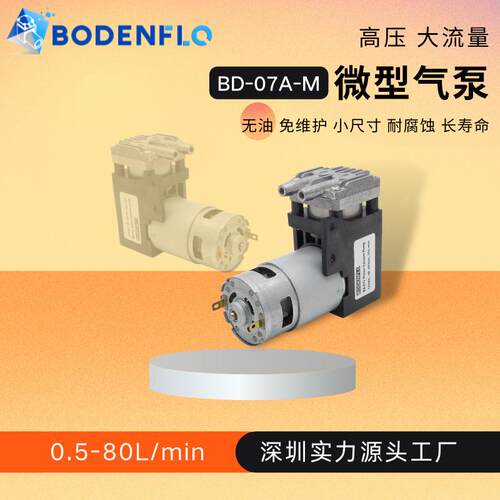 直销12V24V小型BD-07A-M活塞压缩机6.5bar微型高压抽打充气泵