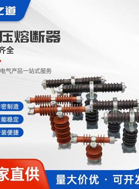 高压熔断器户外限流卡扣式RXWO-40.5/0.5A互感器保熔体