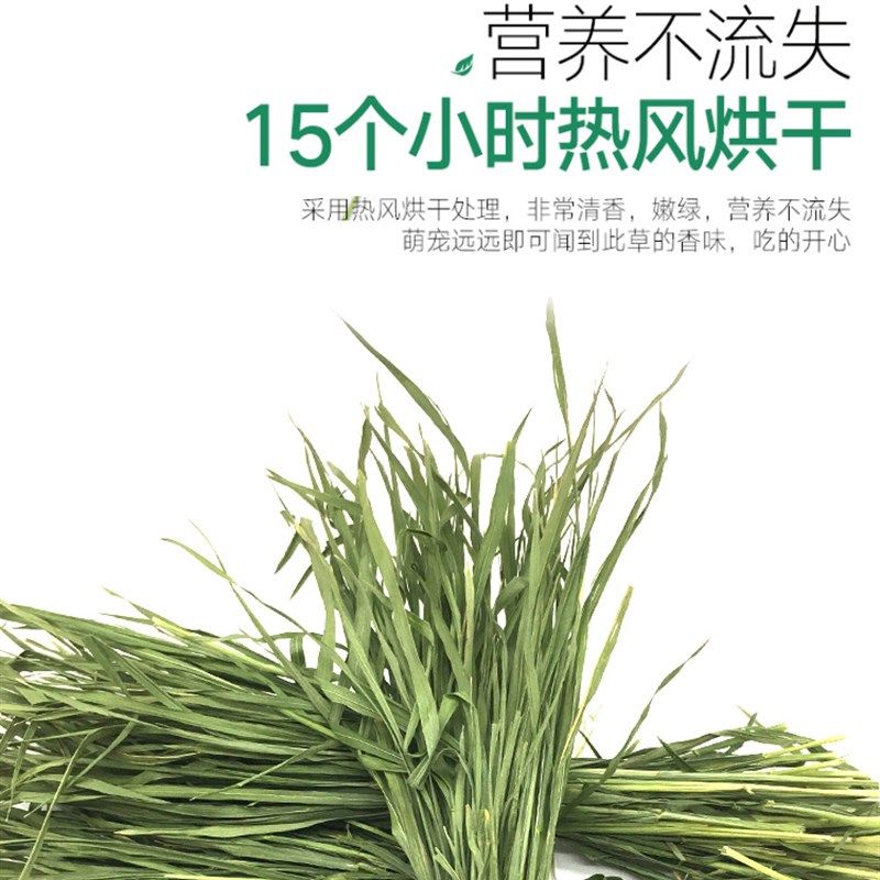 21年烘干新茬小麦草干草牧草兔子草粮食饲料龙猫豚鼠包邮毛重2斤,宠物/宠物食品及用品,兔兔干草,淘宝优惠券,粉丝福利购,淘宝优惠卷
