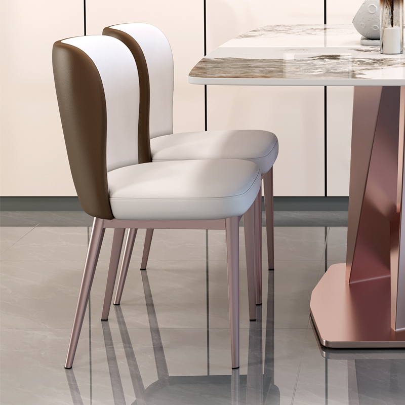 餐椅家用轻奢现代简约餐桌椅子网红B2022新款靠背小户型高级感凳