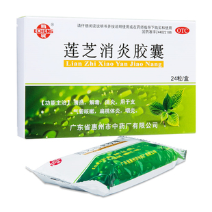 鹅城 莲芝消炎胶囊