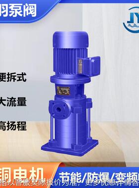 50LG24-20X2立式多级离心泵 高层建筑给水多级泵 多级管道增压泵