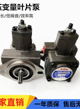 变量叶片泵VP-20-FA3液压泵总成VP-15-FA3液压油泵头SF液压站配件