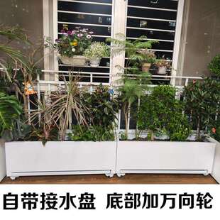 室内不锈钢带接水盘加轮子可移动花箱阳台客厅办公室种植箱可定制