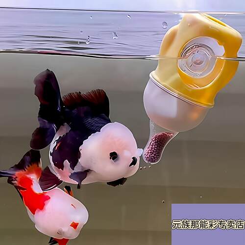养鱼党福音！兰寿专用宠物奶瓶小型观赏鱼喂食杯防飘散喂食固定器