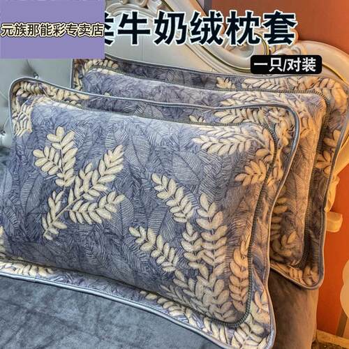 枕套一对装冬季加绒牛奶绒防头油枕头套成人珊瑚绒枕头套罩48x74