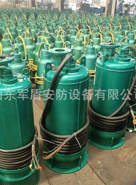 BQS矿用隔爆型排沙潜水电泵 BQS500-60-160kw 防爆潜污泵660v380