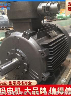 低压隔爆型电机YB3-315L2-8 110W 含定子测温 PT100 加热器
