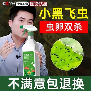 小黑飞杀虫剂家用花盆花土壤灭花卉植物里面有非专杀虫虫净飞虫药