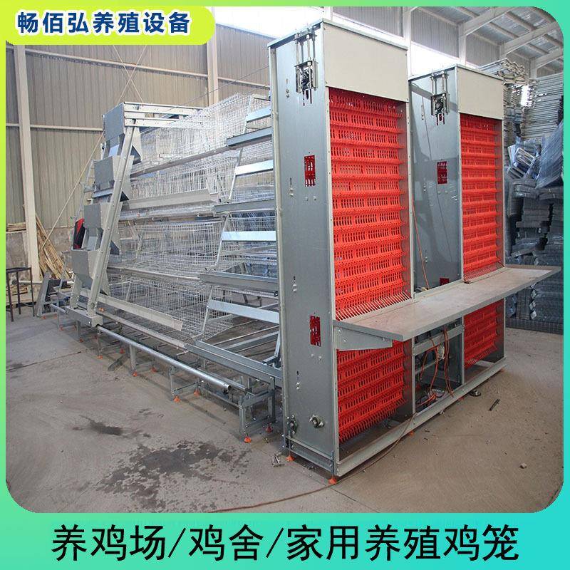 全自动阶梯式蛋鸡笼自动化鸡笼养殖厂工厂阶梯鸡笼热镀锌材质
