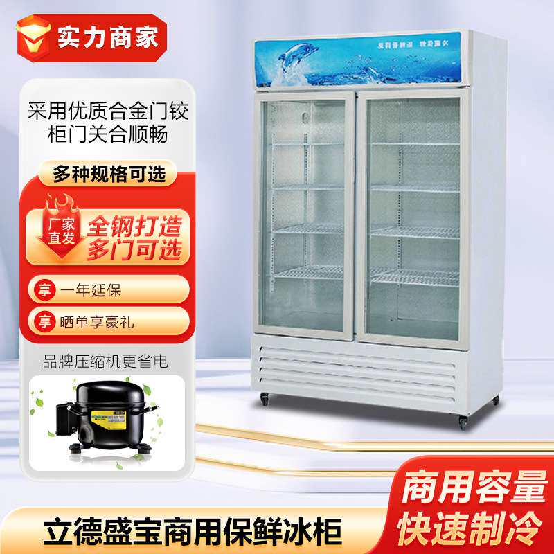 立德盛宝商用冰箱冰柜保鲜展示柜冷藏冰柜立式保鲜柜饮料柜啤酒柜