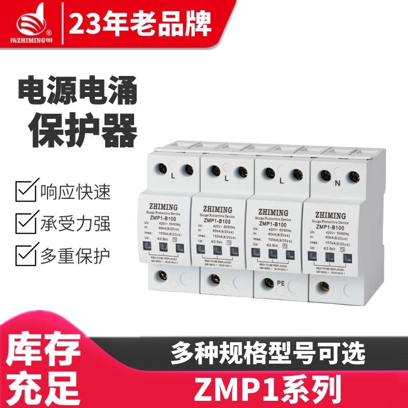 ZMP1系列浪涌保护器ZMP1-B2P(60-100kA)防雷器 电源电涌保护器