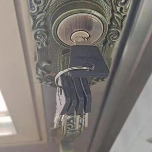 罗普斯金门老式铝合金对开艺术门锁众安替换两舌拇指按压大把锁芯