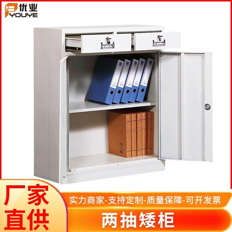 双门两抽矮柜钢制资料文件柜 办公铁皮柜档案白色文件柜厂家,3C数码配件,其它配件,淘宝优惠券,粉丝福利购,淘宝优惠卷