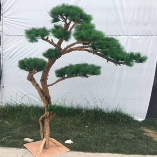 饰餐厅罗汉松庭院树杆崖柏枯树客厅干树枝 仿真迎客松树酒店摆件装