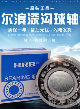HRB哈尔滨轴承6410 6412 6413 6414 6415 6416 2RZ 2Z N
