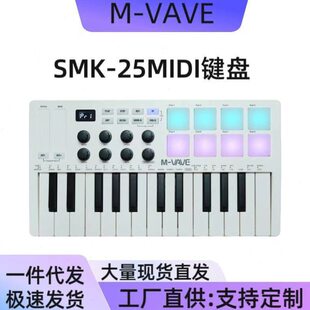 MIDI键盘 MIDI控制器 便携 编曲键盘 RGB打击垫键盘 工厂练手