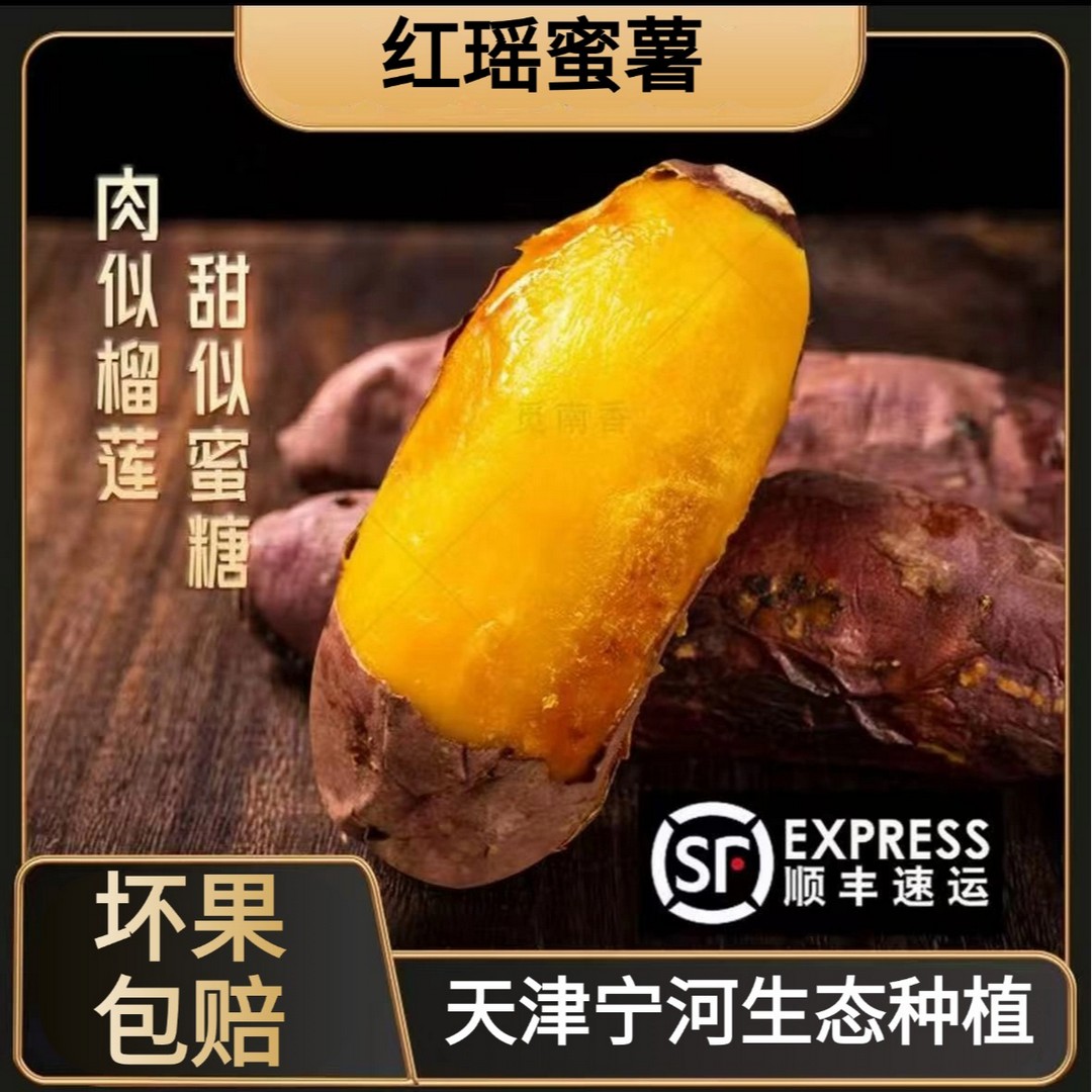 团团记正宗天津宁河岳龙红瑶蜜薯地瓜当季新鲜番薯香甜软糯红薯